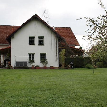 Krasny Apartman V Brane Luzickych Hor Cvikov Экстерьер фото