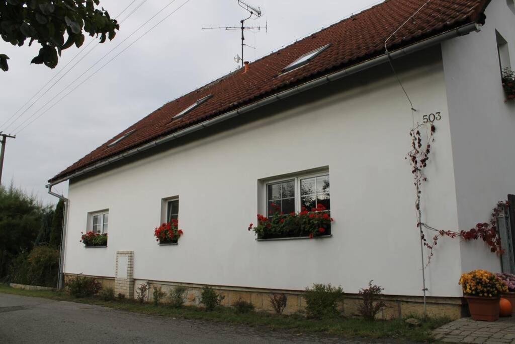 Krasny Apartman V Brane Luzickych Hor Cvikov Экстерьер фото