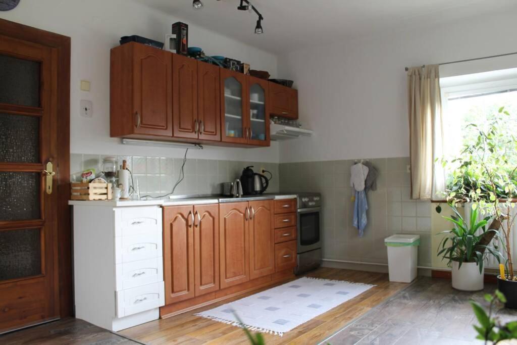 Krasny Apartman V Brane Luzickych Hor Cvikov Экстерьер фото