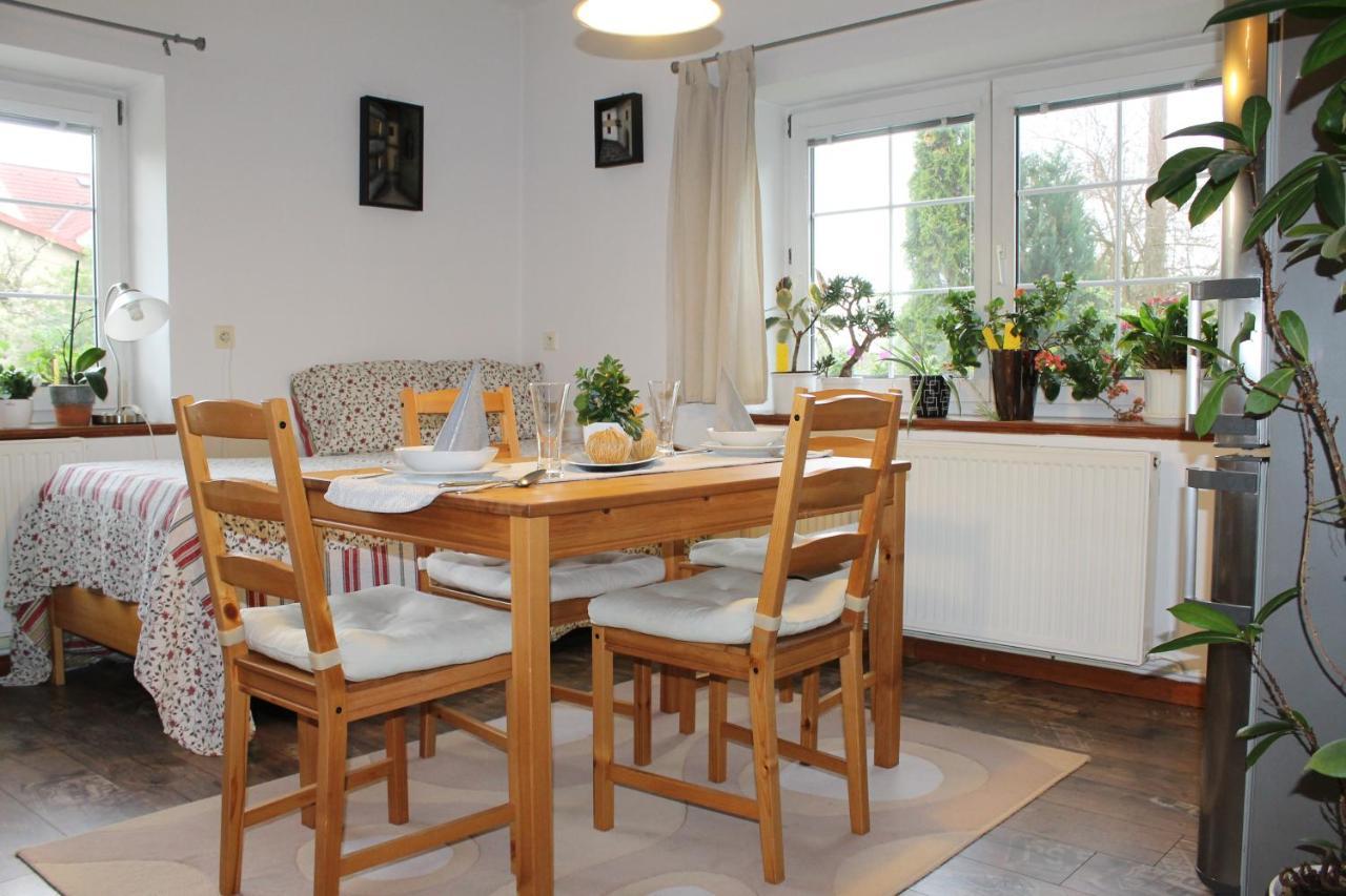 Krasny Apartman V Brane Luzickych Hor Cvikov Экстерьер фото