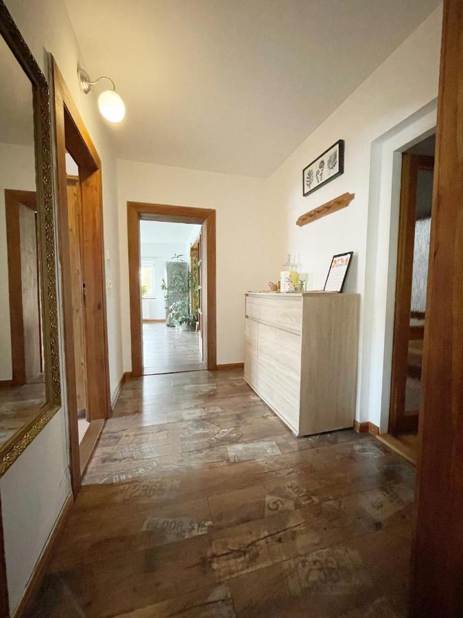 Krasny Apartman V Brane Luzickych Hor Cvikov Экстерьер фото